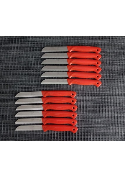 Parlak Turuncu Meyve Bıçakları 12'li Set
