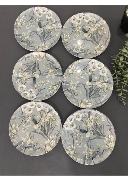 Şık Gri 6'lı Pasta Tabağı Serisi, Zarif ve Modern Tasarım modelleri