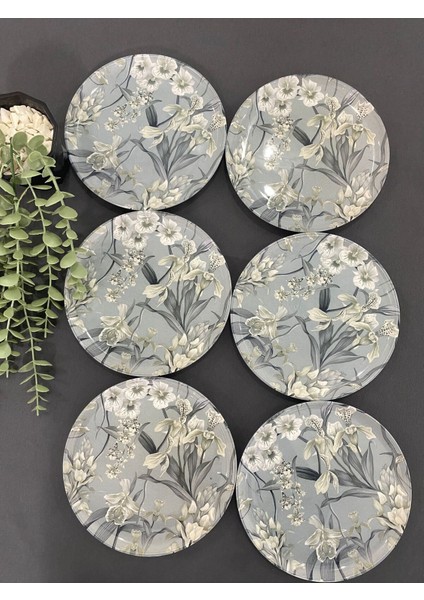 Gri 6'lı Pasta Tabağı Seti, Şık ve Zarif Sunumlar Için Ideal