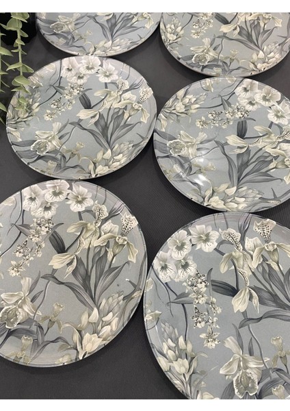 Gri 6'lı Pasta Tabağı Seti, Şık ve Zarif Sunumlar Için Ideal fırsatları