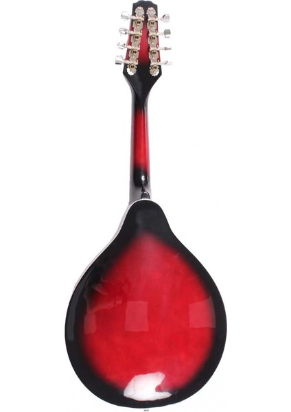 AMD11-E Elektro Mandolin fiyatları