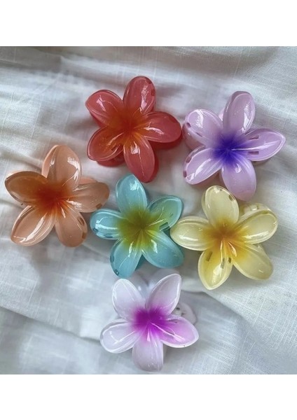 Lotus Mandal Toka fiyatları