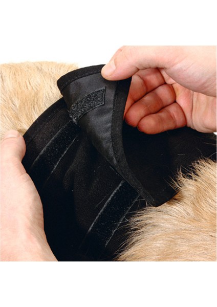 Msa-Shop Karlıe Inkontinans Bandı (Evcil Hayvan Alt Bezi)Xl (90X30) fiyatları