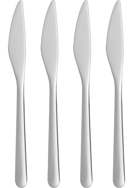 Bıçak, Paslanmaz Çelik, 21 Cm, 4 Adet