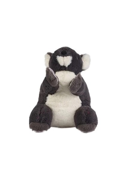 Bfs 0785 Gri Renk Koala