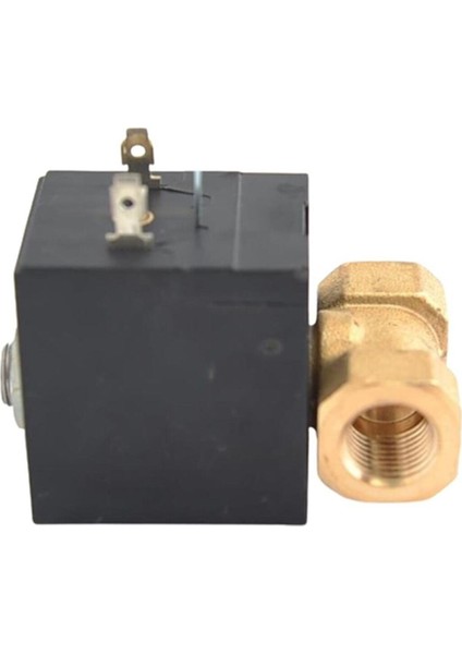 1/4 Ütü Solenoid Valfi, Ayarsız, Çekirdek Dahil