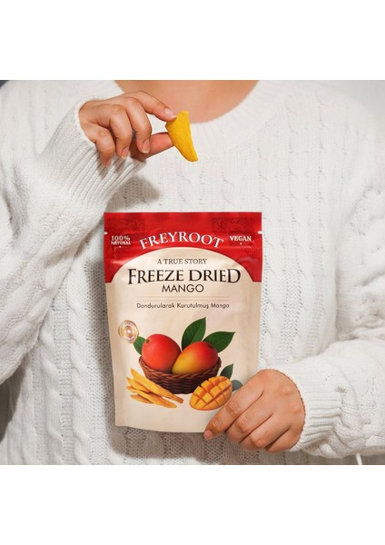 Freyroot Dondurularak Kurutulmuş Mango – Freeze Dried Sağlıklı Çıtır Mango – Katkısız Meyve Kurusu fırsatları