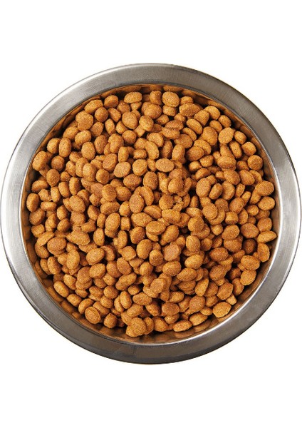 Somonlu Yetişkin Kedi Maması 15 kg modelleri