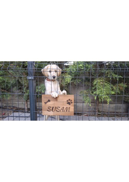Evcil Hayvan Kapı Isimliği - Kişiye Özel Lazer Yazılı Ahşap Köpek Kulübesi Isimliği - Masif Gürgen fiyatları