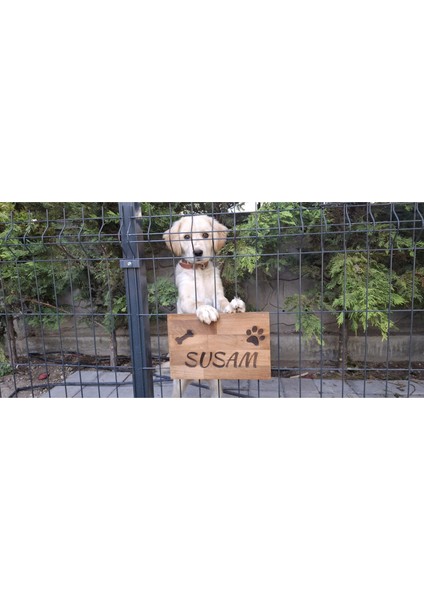 Evcil Hayvan Kapı Isimliği - Kişiye Özel Lazer Yazılı Ahşap Köpek Kulübesi Isimliği - Masif Gürgen modelleri