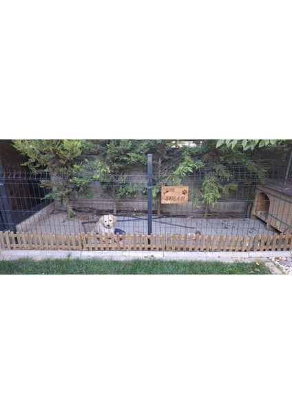 Evcil Hayvan Kapı Isimliği - Kişiye Özel Lazer Yazılı Ahşap Köpek Kulübesi Isimliği - Masif Gürgen indirimleri