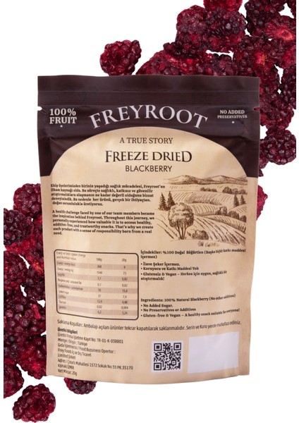 Freyroot Dondurularak Kurutulmuş Böğürtlen – Freeze Dried Sağlıklı Çıtır Böğürtlen – Katkısız Meyve Kurusu fiyatları
