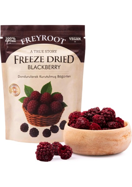 Freyroot Dondurularak Kurutulmuş Böğürtlen – Freeze Dried Sağlıklı Çıtır Böğürtlen – Katkısız Meyve Kurusu modelleri