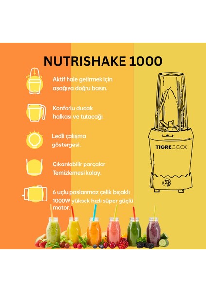 Nutrıshake 3 In 1 Paslanmaz Çelik Bıçaklı Kişisel Smoothie Blender ve Kahve Baharat Öğütücü 1000W