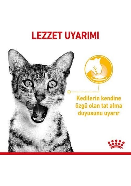 Sensory Taste Pouch Yaş Kedi Maması 85 Gr indirimleri