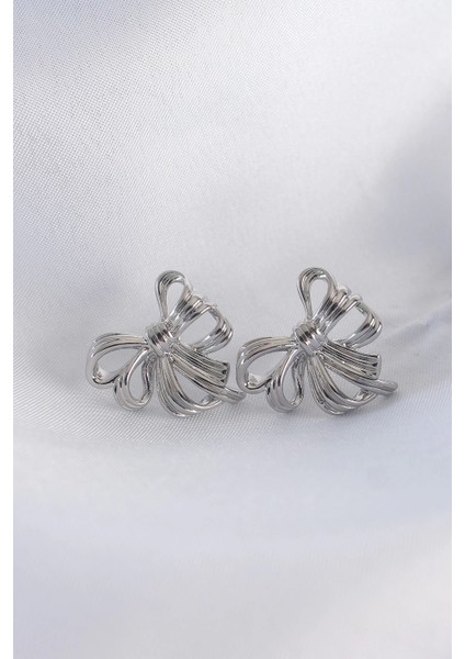 Bfs Pirinç Gümüş Renk Fiyonk Küpe