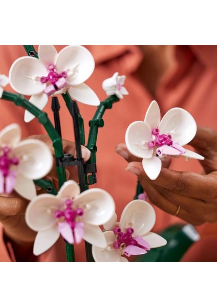 Bfs LEGO Orkide Dekoratif Bitki Yapım Seti 10311 modelleri