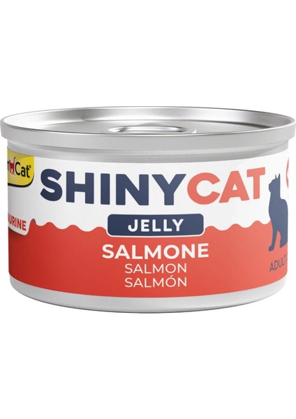 Elit Gimcat Shinycat Jelly Somon Balıklı Kedi Konservesi 70GR