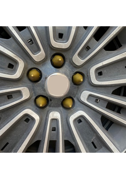 Sivri Mermi Bijon Kapağı Sökme Aparatlı 20 Li Set 17 Mm-19 mm Altın modelleri