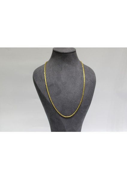 14 Ayar Altın Pullu Kadın Zinciri Kolye fiyatları