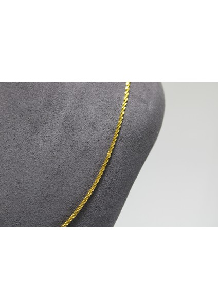 14 Ayar Altın Pullu Kadın Zinciri Kolye fırsatları