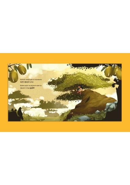 Kudüs'ün Renkleri Hikaye Kitabı, Jenny Molendyk Divleli modelleri