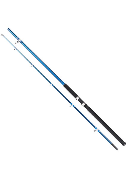 Blue Bird 3.00M 100-200GR 2p Olta Kamışı Standart-Standart