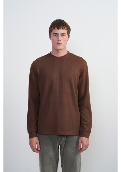 Erkek Bisiklet Yaka Çizgili Kumaş Kahve Sweatshirt fiyatları