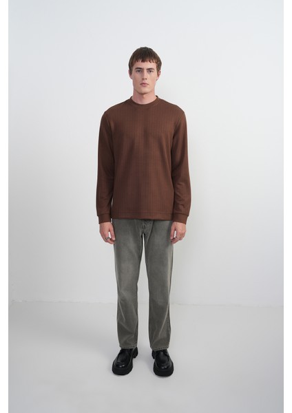 Erkek Bisiklet Yaka Çizgili Kumaş Kahve Sweatshirt modelleri