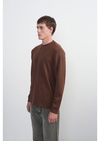Erkek Bisiklet Yaka Çizgili Kumaş Kahve Sweatshirt