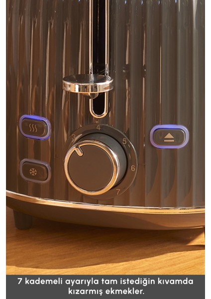 Gri Renkli 2 Dilim Kapasiteli Ekmek Kızartma Makinesi modelleri