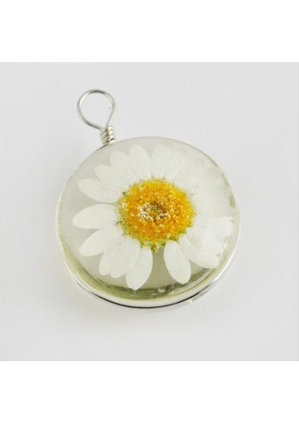 Ds-Derin Papatya Canlı Kolye Ucu 2,5 Cm-Beyaz