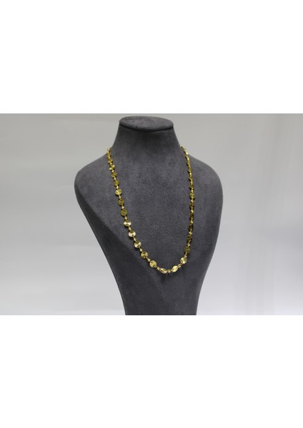 14 Ayar Altın Pullu Dorikalı Kolye fiyatları