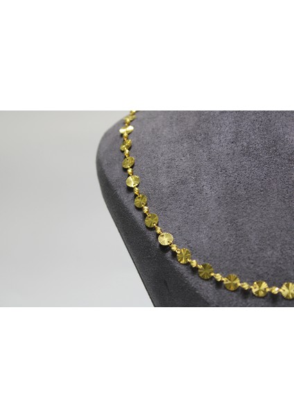 14 Ayar Altın Pullu Dorikalı Kolye modelleri