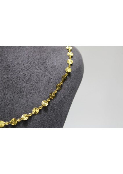 14 Ayar Altın Pullu Dorikalı Kolye fırsatları