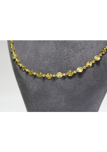 14 Ayar Altın Pullu Dorikalı Kolye indirimleri