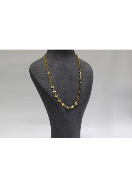 14 Ayar Altın Pullu Dorikalı Kolye