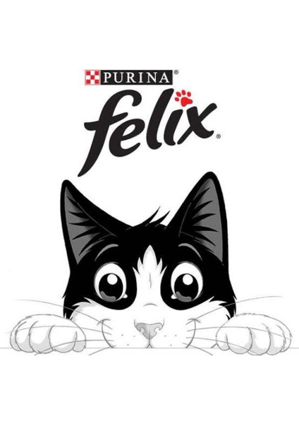 Pouch Kedi Maması Somonlu & Ton Balıklı 4X85 gr (3 Adet) fiyatları
