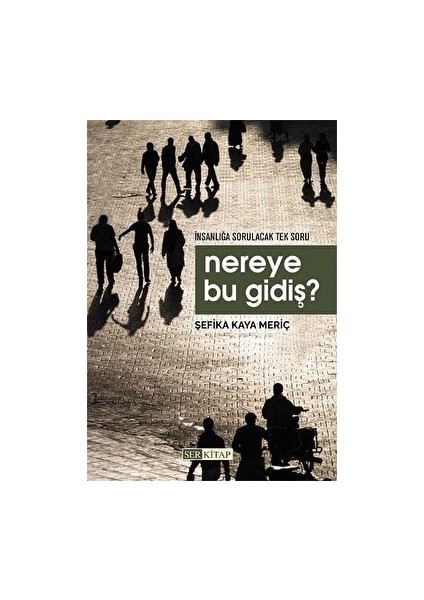 Nereye Bu Gidiş? - Şefika Kaya Meriç
