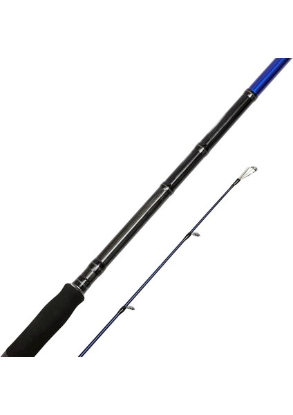 Risco Sgs6 290CM 30-70GR Shore Jigging Kamışı fiyatları
