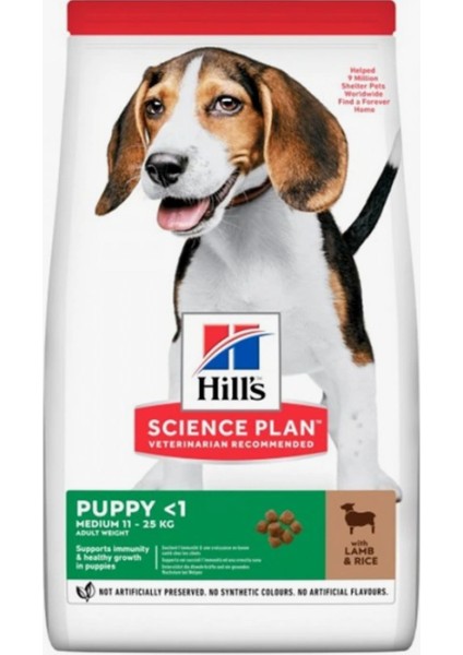 Hill’s Kuzu Etli Büyük Irk Yavru Kuru Köpek Maması 2.5 kg