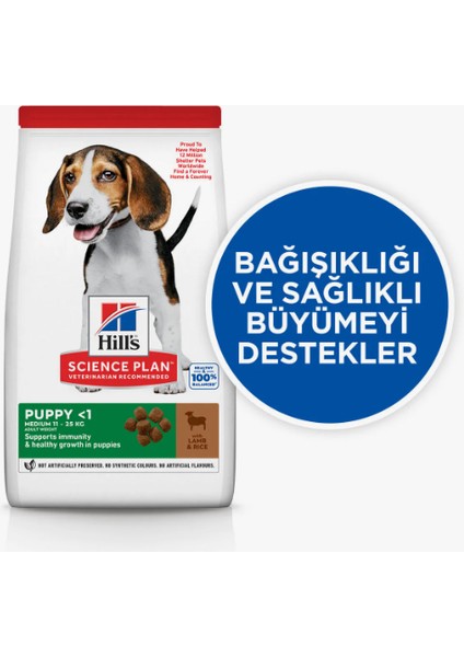 Hill’s Kuzu Etli Büyük Irk Yavru Kuru Köpek Maması 2.5 kg fiyatları