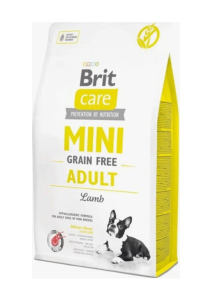 Mini Tahılsız Kuzu Etli Küçük Irk Yetişkin Köpek Maması 2 kg