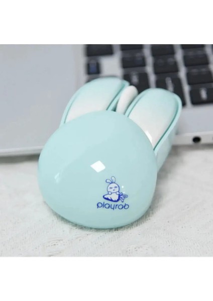 M6 Playrab Tavşan Kablosuz Mouse indirimleri