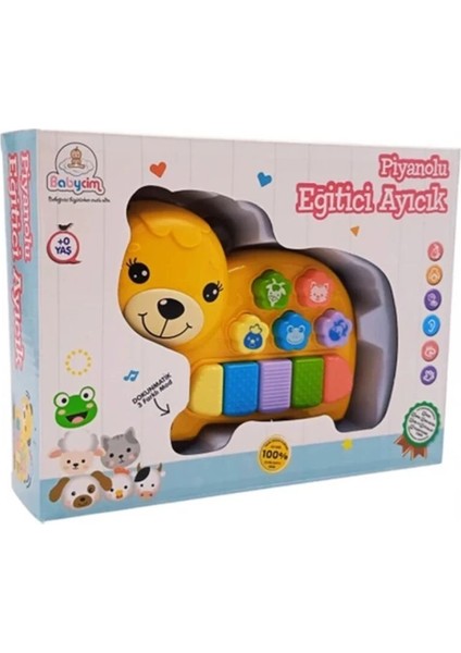 Bfs 776-48 Piyanolu Eğitici Ayıcık fiyatları