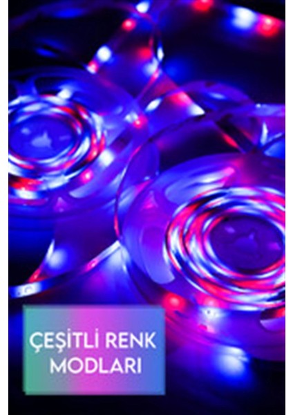 Bfs 10 Metre Şerit LED