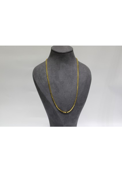 14 Ayar Altın Modern Pullu Zincir Modeli Kolye fiyatları