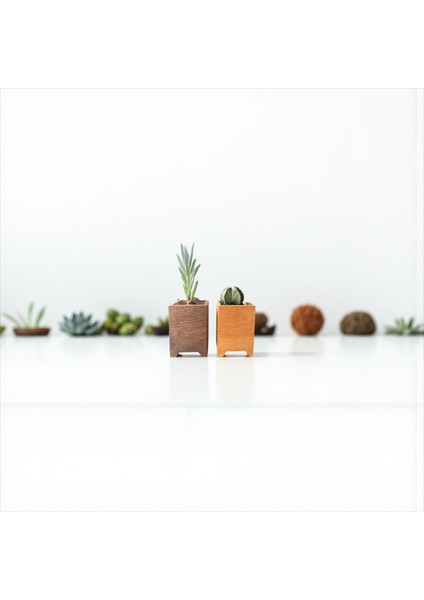 Ahşap Mini Saksılık, Masaüstü Saksılık, Saksı, Kaktüs Saksılık, 10X7X7CM fırsatları
