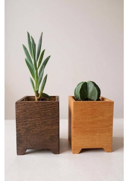 Ahşap Mini Saksılık, Masaüstü Saksılık, Saksı, Kaktüs Saksılık, 10X7X7CM