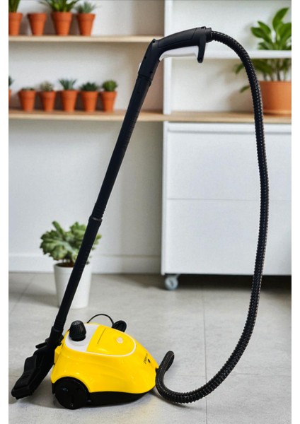 Yüksek Basınçlı Buharlı Temizleyici, Güçlü ve Verimli Temizlik Aracı modelleri